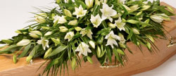 Funeral directors and funeral services in Newcastle, Kenton, Gosforth, Kingston Park, Great Park, Benton, Jesmond, Blakelaw, North Tyneside, Northumberland and Gateshead. Funeral advice on cremations, burials, home or venue services, coffins and flower arrangements.